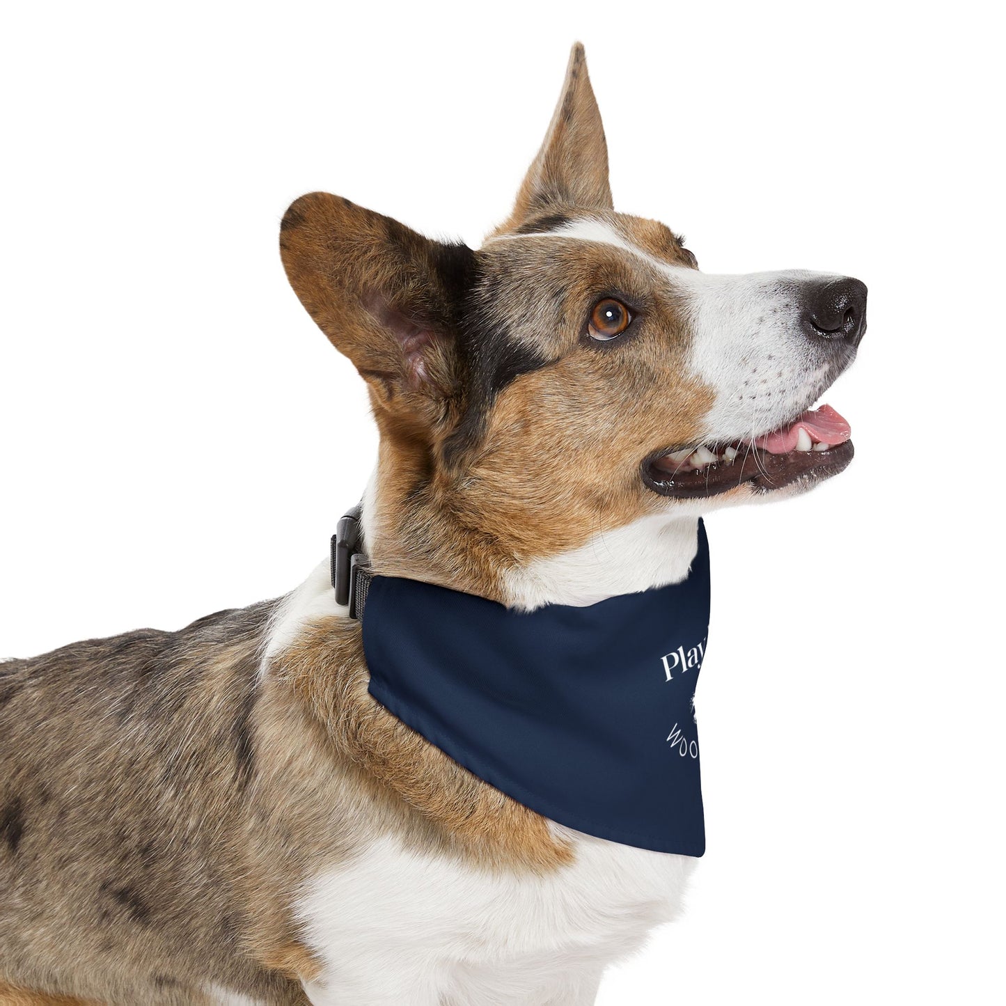 Play Mate Pet Bandana Collar