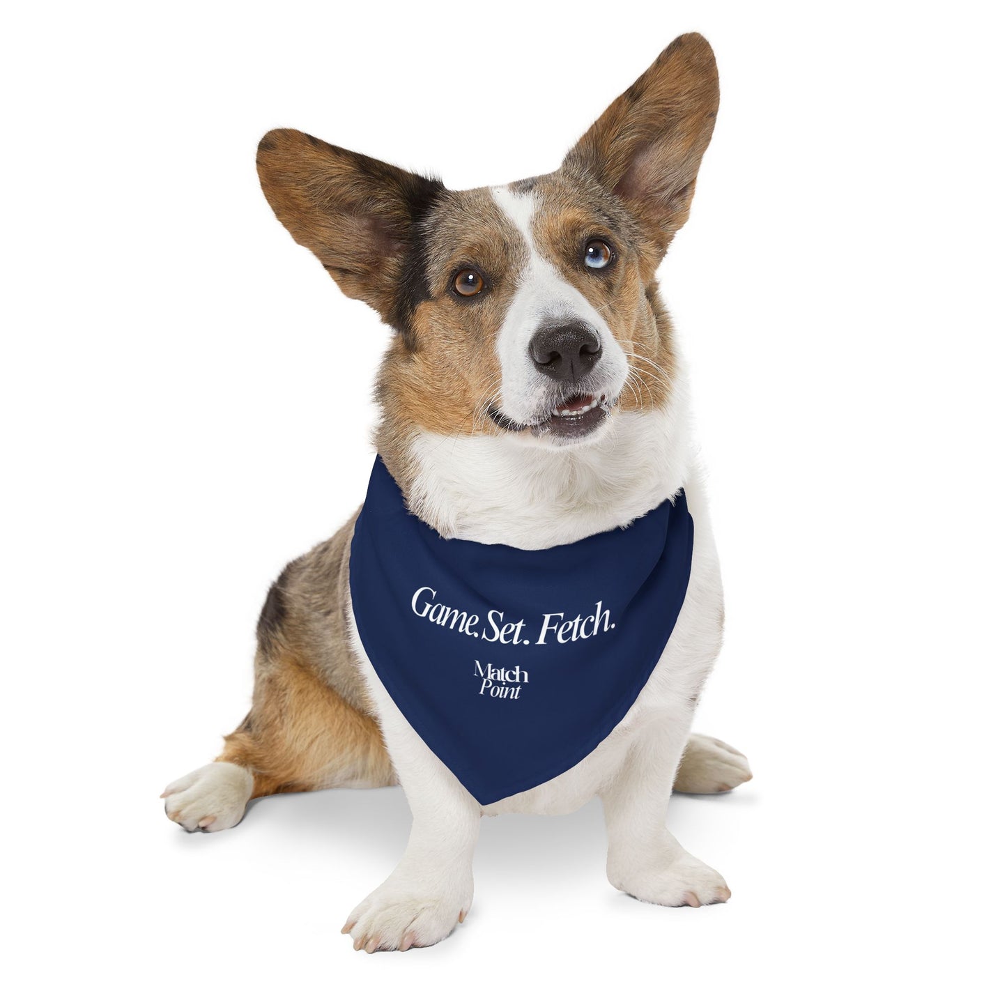 Game Set Fetch Pet Bandana Collar