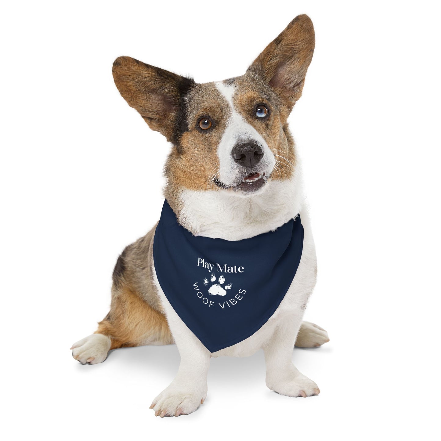 Play Mate Pet Bandana Collar
