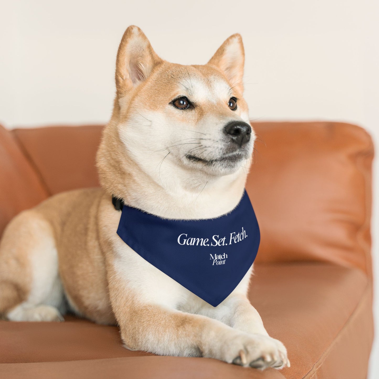 Game Set Fetch Pet Bandana Collar