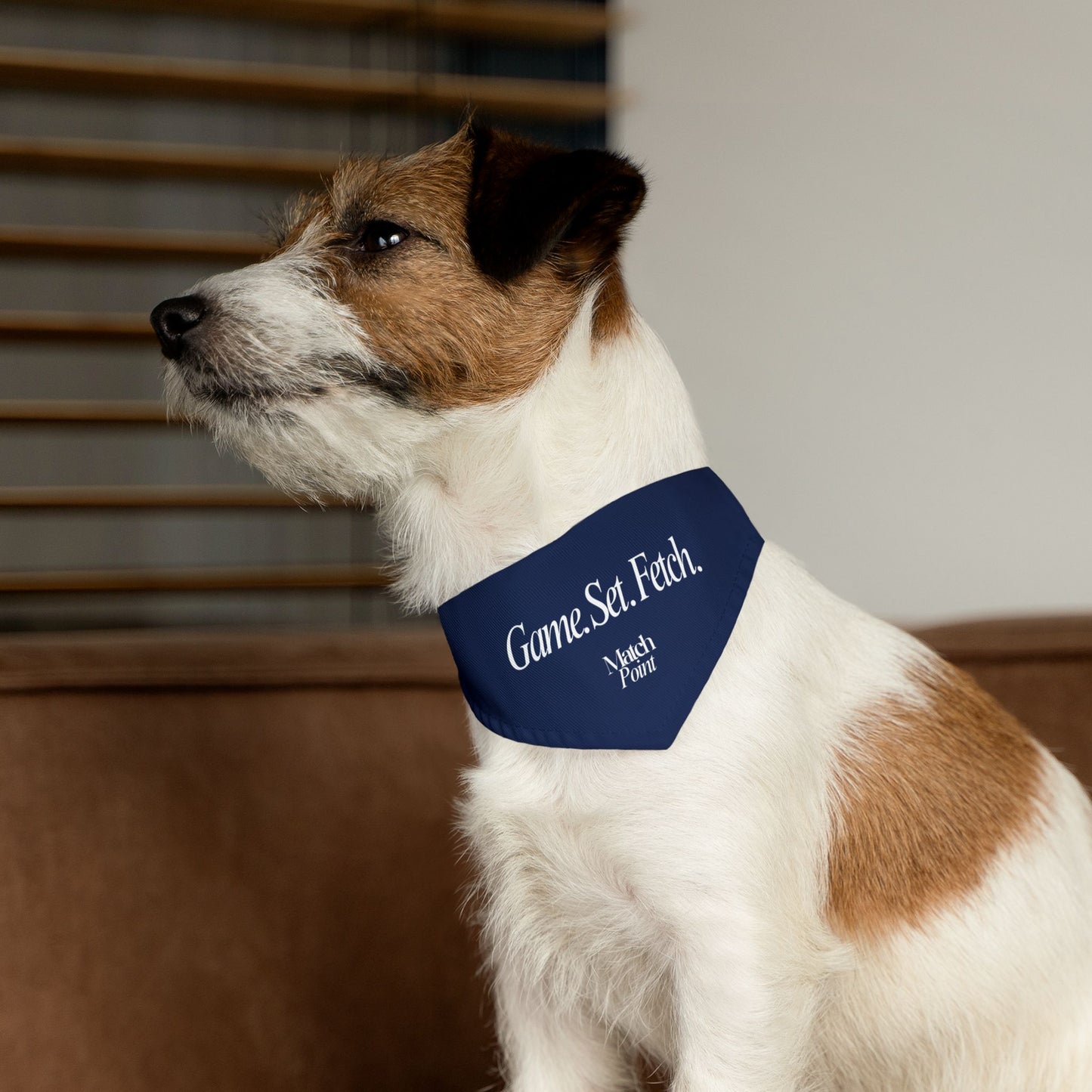 Game Set Fetch Pet Bandana Collar