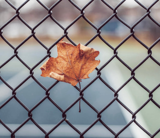 Let’s Be Grounded in Gratitude