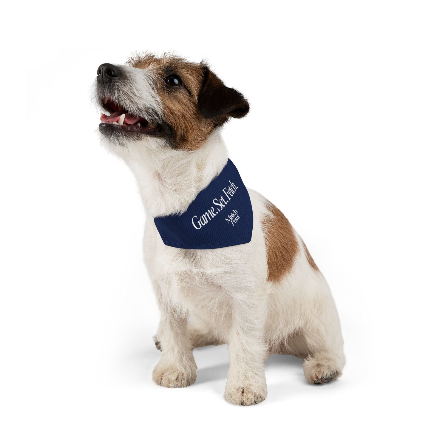 Game Set Fetch Pet Bandana Collar